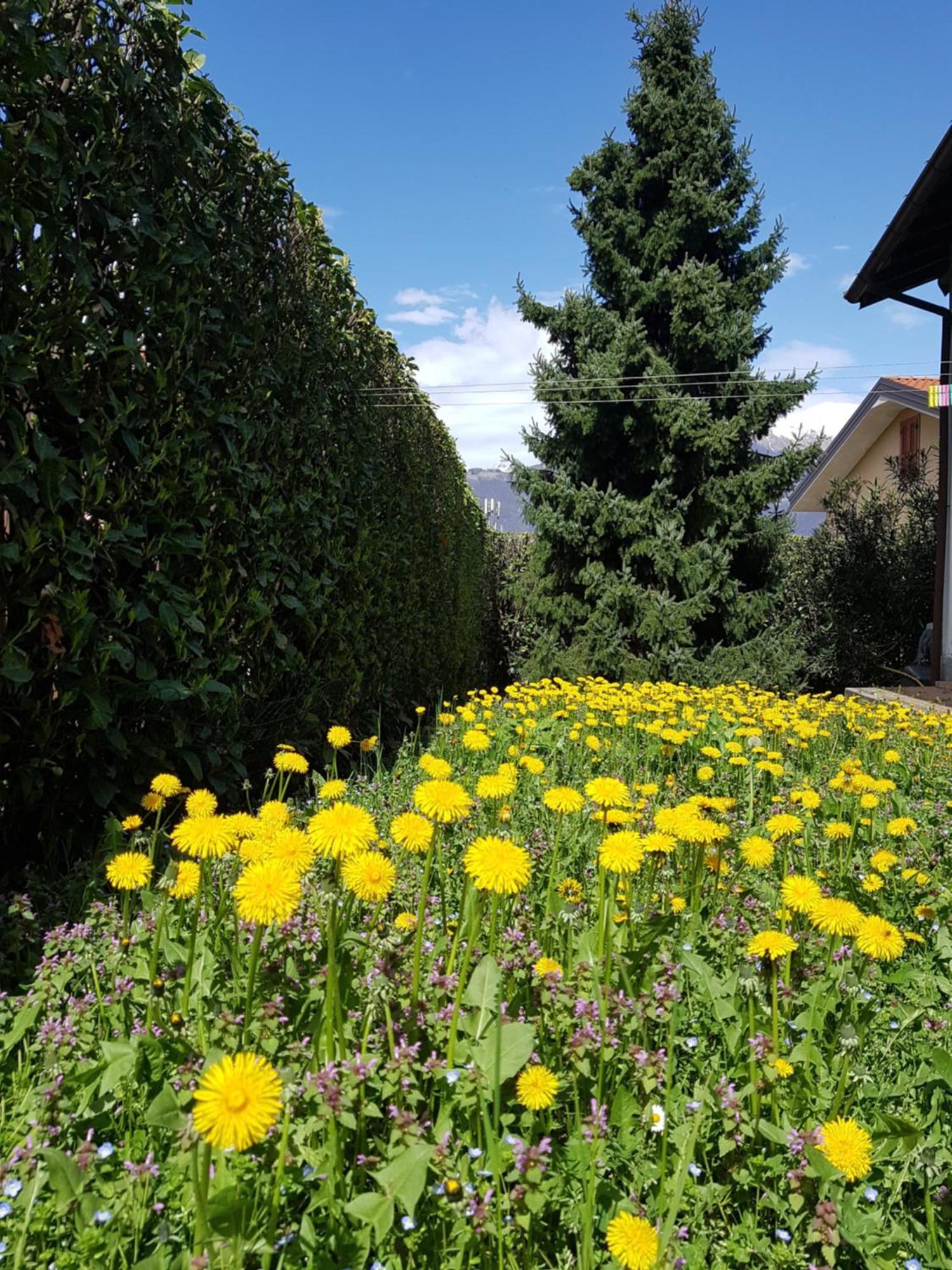 Villa Iris -Pet Friendly Stay - Garden - Private Parking- Bike Friendly Holiday House Колико Екстериор снимка